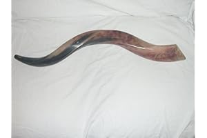 YALILAND 50–59 cm (50,8 cm 23 cm) Koudou Histoire des Corne au Yémen Shofar casher tous les poli New