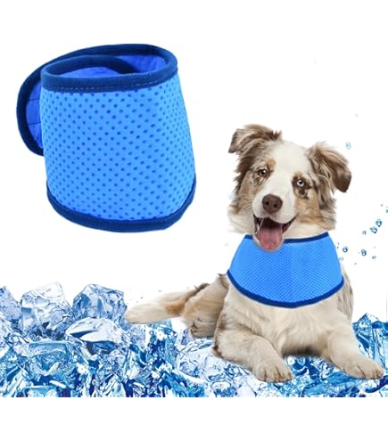 Bandana Rinfrescante Per Cani - Collare Di Raffreddamento Estivo | Taglie S, M, L | Blu | Sicura E Senza Chimici - Foto 9