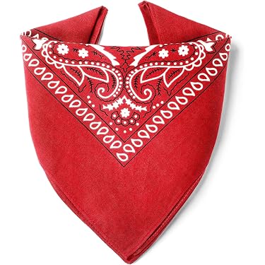 Bandana - Paisley motivo 02 - rosso - bianco - Fazzoletto da collo - , 4,95