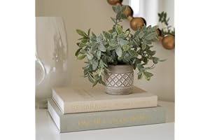 ZICOTO Beautiful Decorative Books - Set of 2 Linen Boxes Enhance Your Coffee Table, Bookshelf or Mantle Decor - Aesthetic Fake/Faux Books for Modern Home Decoration, Photo Storage and as a Keepsake Box