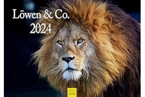 ‎EDITION SEIDEL Edition Seidel Premium Kalender Löwen & Co. 2024 Format DIN A3 Wandkalender Tierkalender Afrika Wildtier Raubtier Katze Großkatze Tiger Gepard