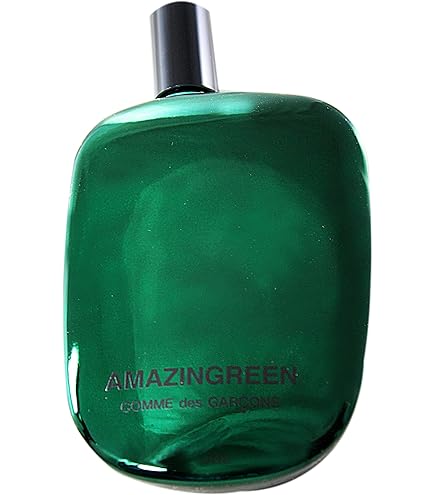 Comme Des Garçons Wonderoud 100Ml Spray Eau De Parfum : Amazon.it