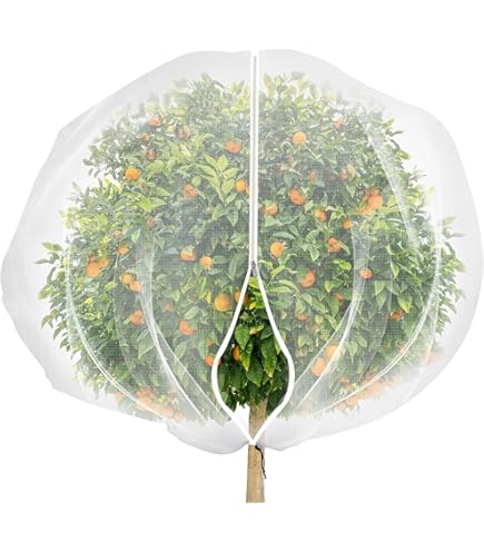 Filet De Protection Pour Arbres Fruitiers 8 X 8 M – Protection Anti Oiseaux Et Animaux Filet En Polyethylene Robuste Avec Mailles Extra Fines 17 Mm 86162673
