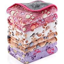 Tappetino Lavabile Per Porcellino D'India 40x60 Cm - Coperta In Ciniglia Assorbente E Antiscivolo, Con Sacco Lavaggio Incluso, Adatto A Conigli E Piccoli Animali