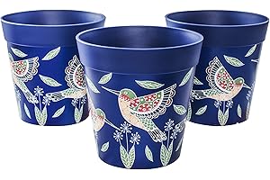 ‎HUM FLOWERPOTS Hum Flowerpots, 15cm, 3er-Set, in Verschiedenen Farben und Mustern, Blumentöpfe aus Kunststoff für Drinnen und Draußen, Blaue Kolibris
