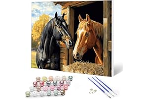 Auremi Cheval Peinture par numéros 20x30 avec cadre–Animaux Peinture par numéros adulte facile–Kit cadeau créatif pour–Tableau DIY détente à peindre