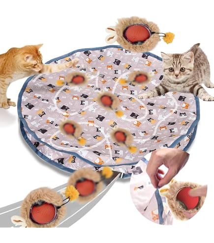 Speedy Tail 2.0 Giocattolo Interattivo Per Gatti, Palla Automatica Con Coda, Ricaricabile USB, Due Velocità E Modalità Smart, Arancione/blu