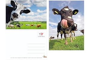 Edition Colibri Divertenti 2 cartoline (10529)