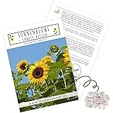 Farbenfrohe Sonnenblumen Samen mit hoher Keimrate - Blumensamen für einen bunten & bienenfreundlichen Garten (1x Sanfte Riese