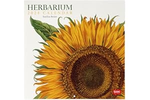 Legami - Calendario da Parete 2024, 12 Mesi e Planner annuale, Spazio per Note e Appunti, Numero della Settimana, 6 Lingue, Segni zodiacali e Festività internazionali, Cellophanatura singola, 30x29 cm