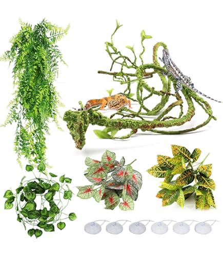 Pianta In Sughero Per Terrario &ndash; Decorazione Naturale Solare Per Rettili E Anfibi