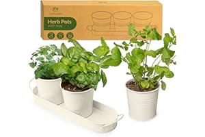 LeafImpact Kräutertöpfe für Zimmerpflanzen mit Tablett | Frische Kräuter Zuhause Anbauen | Kräutertopf Küche | Kräutergarten | Indoor-Pflanzenanzuchttöpfe für Basilikum, Minze, Petersilie etc