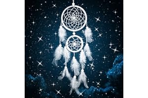 MITENING Dream Catcher with Feathers, White Dreamcatcher, Handmade Dream Catcher, Handmade Pearl Boho Woven Art Ornament for Home Office Wall Window Door Decor Birthday Gift (White)