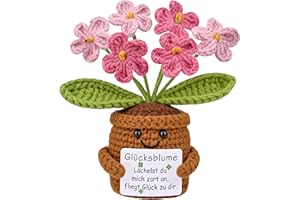 Mwmoeen Pocket Hug Glücksblume, Kreative Strickwolle Positive Blume, Positive Kartoffel Deutsch Glücksbringer, aufmunterung Geschenke, Süße Geschenke für Freunde Kollegen und Famili