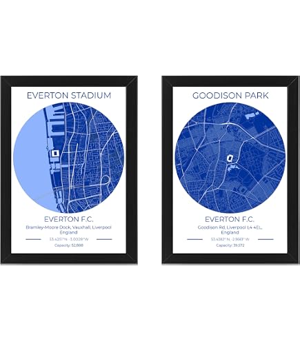 Impression Sur Toile Goodison Park Everton - Format 20 X 30 Pouces - Neuf Imprimé à La Demande