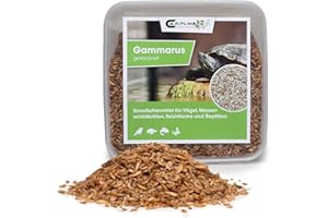 Carpline24 Bachflohkrebse Gammarus 2000ml - Getrocknete Insekten als Futter für Schildkröten, Axolotl, Vögel & Nager, Fischfutter für Aquarium & Teich