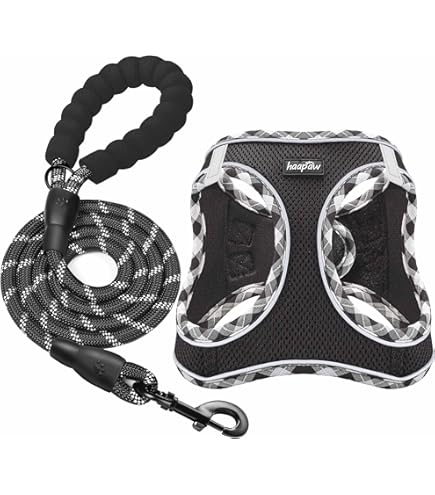 Pettorina Anti-Tiro Per Cani | Taglia L | Doppio Gancio | Regolabile - Foto 13