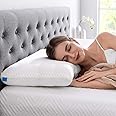 Rylan Memory Foam Pillows for Neck Pain and Shoulder Pain Orthopedic Cervical Best Contour Shape Ergonomic Neck Memory Foam Bed Pillow(Big1)