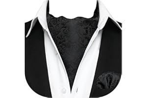 HISDERN Corbata Ascot y Pañuelo Para Hombre Conjunto Corbatas Con Pañuelos Paisley Floral Regalo Boda Elegante Clásico Para Fiesta Business