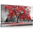 Large Tree Red Leaves Black White Nature Canvas Wall Art Picture Print (36x24in)