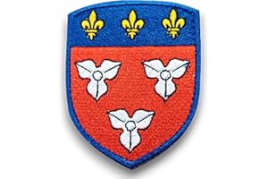 AMALRIC Ecusson Patch blason Ville Orléans brodé avec dos scratch et support à coudre