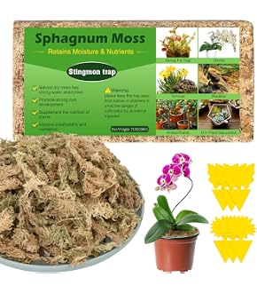 ZATIXBU Sphagnum Moos 200g, Natürlich Luftgetrocknet - Für Orchideen, Terrarien, Fleischfressende Pflanzen & Sukkulenten