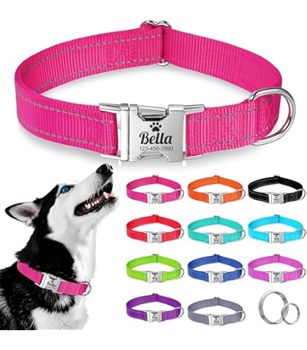 Noe Per Cane Feina – I 15 Igliori Prodotti A Confronto - Ondo-dei - Foto 2