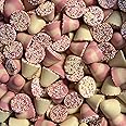 Spinning Tops 500g Share Bag by The Gourmet Sweet Company