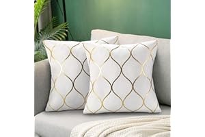Hanrunsi Fodere per Cuscini Velluto 18x18 Decorativi per Divani Bianco 2 Pezzi Federe per Cuscini Morbide Decorative con Dipinto Dorato per Cuscino del Divano Letto Auto