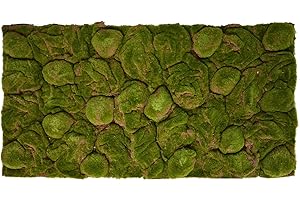 REPITERRA Terrario - Sfondo decorativo 3D, effetto naturale, muschio, 116 x 58 cm, per terrari 120 x 60 cm