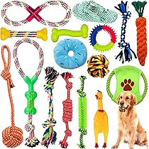 AMAYGA 17-delige hondenspeelgoedset, duurzaam hondenspeelgoed voor puppy's/kleine honden, kauwspeelgoed, niet giftig, geurloos, duurzaam, voor het reinigen van tanden