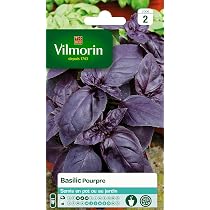 Graines Basilic Pourpre Vilmorin - Sachet Pour Jardinage