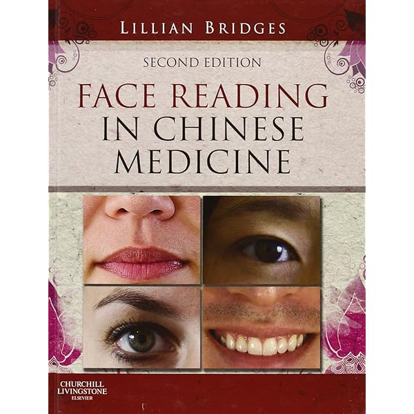 Applied Channel Theory in Chinese Medicine: Wang Ju-Yi's