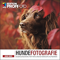 Amazon De Bestseller Die Beliebtesten Artikel In Fotografie