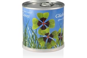 MacFlowers Ekstragifts kwiaty w puszce - koniczyna szczęścia