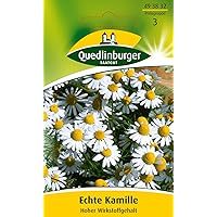 Echte Kamille Hoher Wirkstoffgehalt (Matricaria chamomilla) -