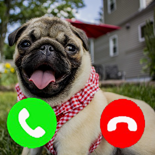 Pug Fake Call Prank Funny Pet Calling Prank Gag Fake Call From Pugs Dog Amazon De Apps For Android