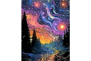 TISHIRON Malowanie według liczb, widok gwiazd dla dorosłych, z pędzlem i farbą akrylową – "zrób to sam" ręcznie malowane płótno obraz olejny zestaw jako prezent 40 x 50 cm - widok nocny z gwiaździstym