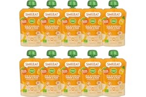 SMILEAT EAT & SMILE Smileat | Pouch de Leche de Almendra, Mango y Piña para Niños | Con Ingredientes Naturales y Bebibles | Sin Lactosa, Azúcares ni Gluten | Para Bebés a Partir de los 9 Meses | 10 x 100 g | 1000 g