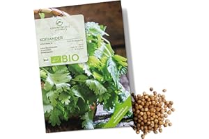 GROWGREENS Semi di coriandolo biologiche - Semi di erbe aromatiche da coltivare in cucina, sul balcone, sul orto rialzato e in giardino