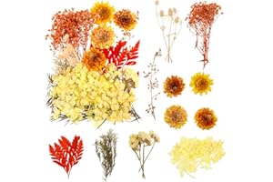 SOSPIRO Natürliche Getrocknete Blumen,Trockenblumen zum Basteln,Blumen Natürliche Gemischte,Getrocknete Blumen für Kunst Basteln DIY Harz Scrapbooking Handwerk Karten Machen