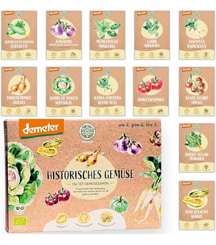 50 Samen Agretti Mnchsbart Salzkraut Salsola Soda Gemse mediterran :  Amazon.de: Garten