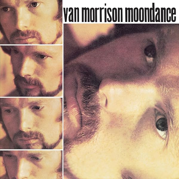 Too Long in Exile: Amazon.de: Musik-CDs & Vinyl