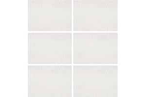 Mynoozi 6 Stück Drahtgitter, Edelstahl-Drahtgewebe, 15 x 21 cm feine Drahtgitterplatten, Lüftungsgitter aus Metall für Heimwerkerprojekte, Lüftung, Käfig, Garten, Fenster, Filter (20 Maschen)