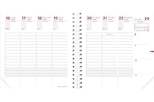 Quo Vadis - Recharge Agenda année scolaire - Spiralé - 2025-2026 - Time & Life Medium - Semainier Planning - Français - 13 mois août à août - 16x16cm