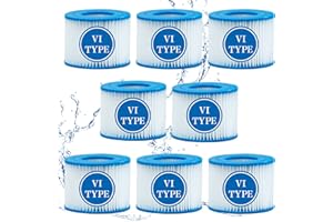 SXEIAV Lot de 8 Filtre VI Cartouche pour Bestway Lay-Z-Spa, Filtre de Spa et de Bain à remous Type VI pour filtres Coleman SaluSpa, pour Filtre Bestway, Lay-Z Spa, pour Intex