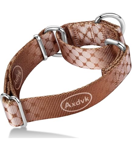 Dazzber Martingal-Halsband Für Hunde – Verstellbar, Heavy Duty, 2,5 Cm Breit, Dunkelviolett