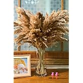 Alyones 10 Adet Kabarık Pampas Otu 100cm Doğal Kuru Pampas Dekor Boho Oda &Ccedil;i&ccedil;ekleri Dekorasyonu