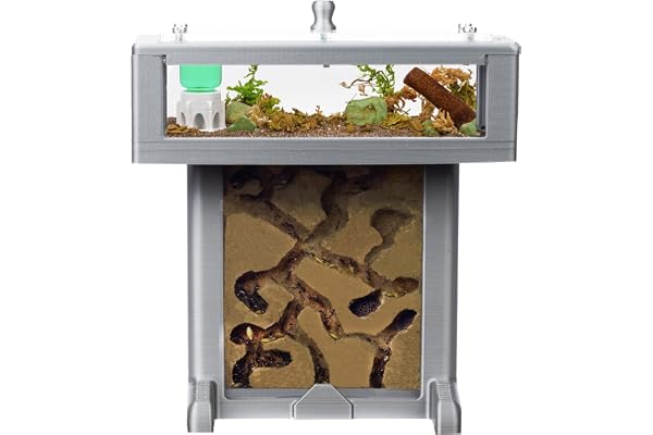 Anthouse.ES - Fourmilière en Mousse 3D - Kit T - 14x8x14,1 cm - Fourmilière - Couleur Gris - Fourmis incluses