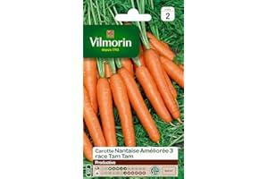 Vilmorin 3193142 Pack de Graines Carotte Nantaise Améliorée 3 Race Tam